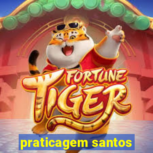 praticagem santos